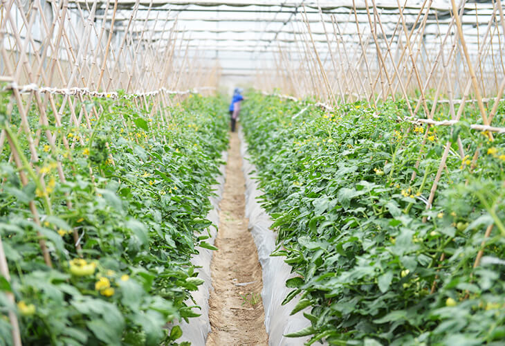 嚴(yán)格的質(zhì)檢流程-把控品質(zhì)