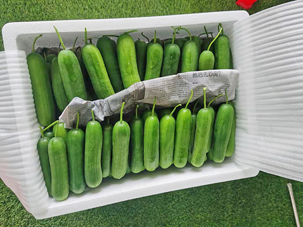 糧油配送公司教你花生油儲存方法？