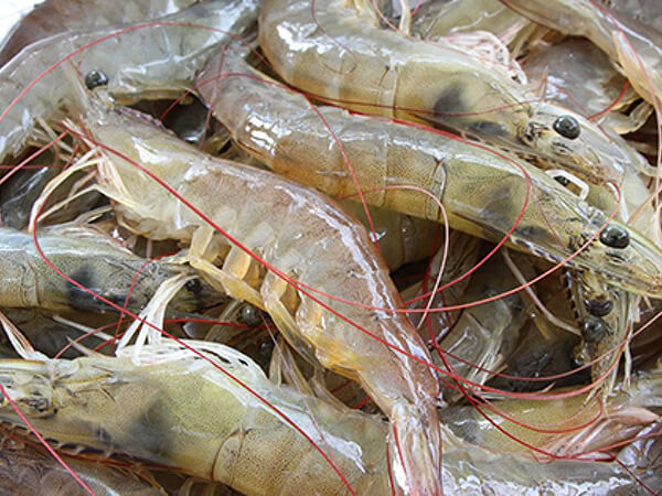 在廣州選擇好的廣州蔬菜配送公司尤為重要